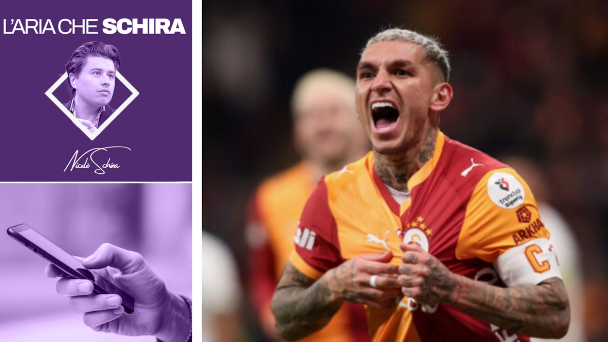 Grafica Torreira Schira