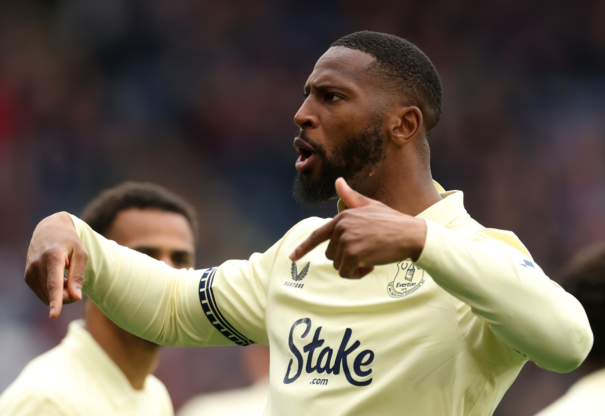Crystal Palace v Everton - Premier League