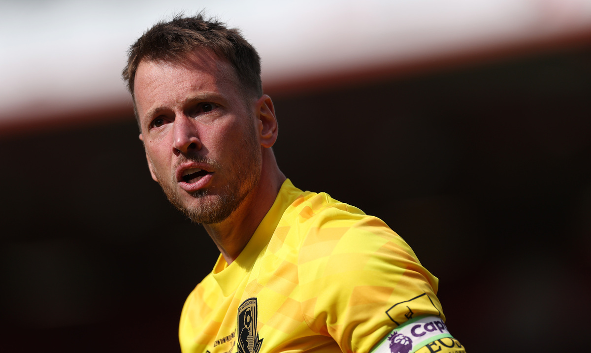 AFC Bournemouth v Newcastle United FC - Premier League