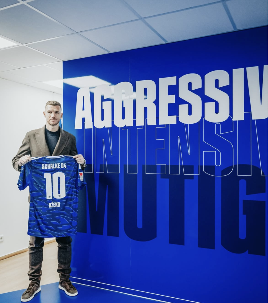 Dzeko, Schalke 04