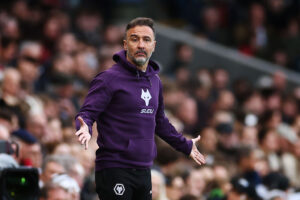 Fulham v Wolverhampton Wanderers - Premier League