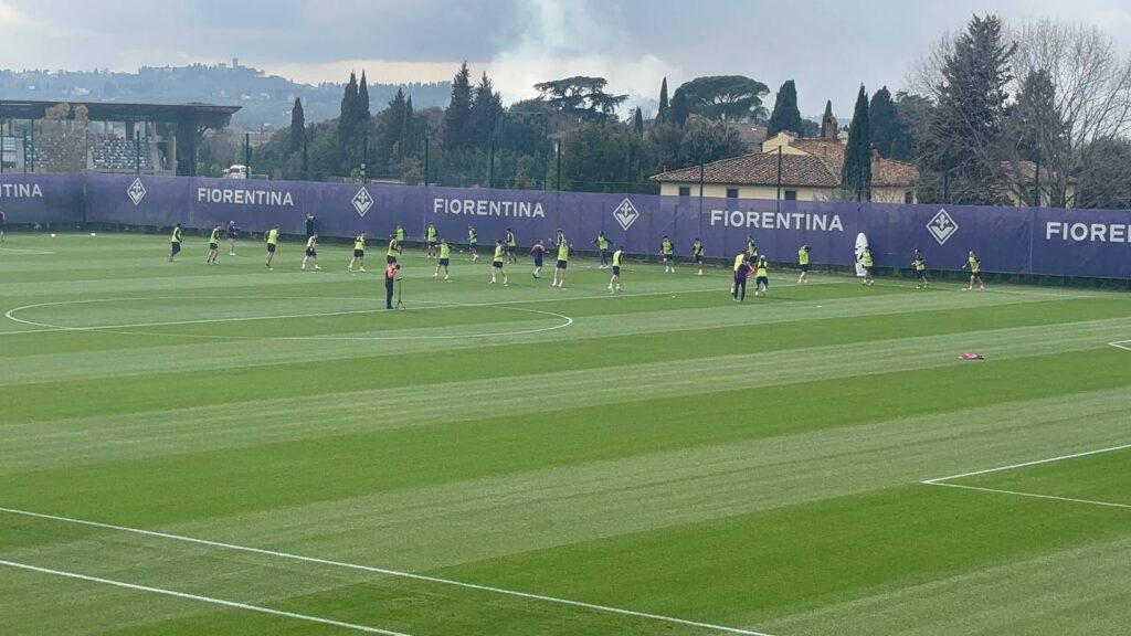 Viola Park