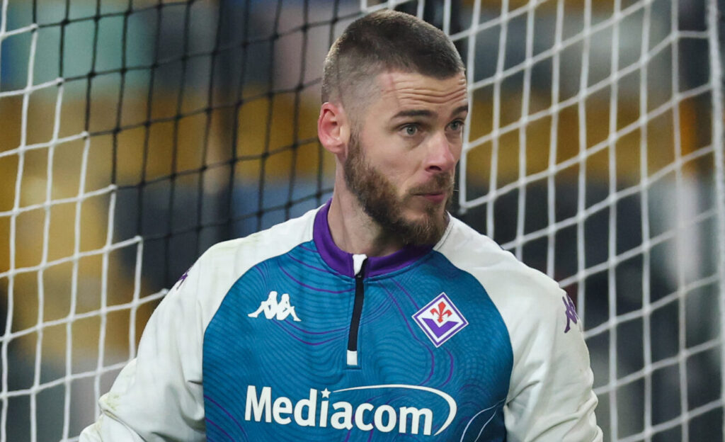 Udinese Calcio v ACF Fiorentina - Serie A