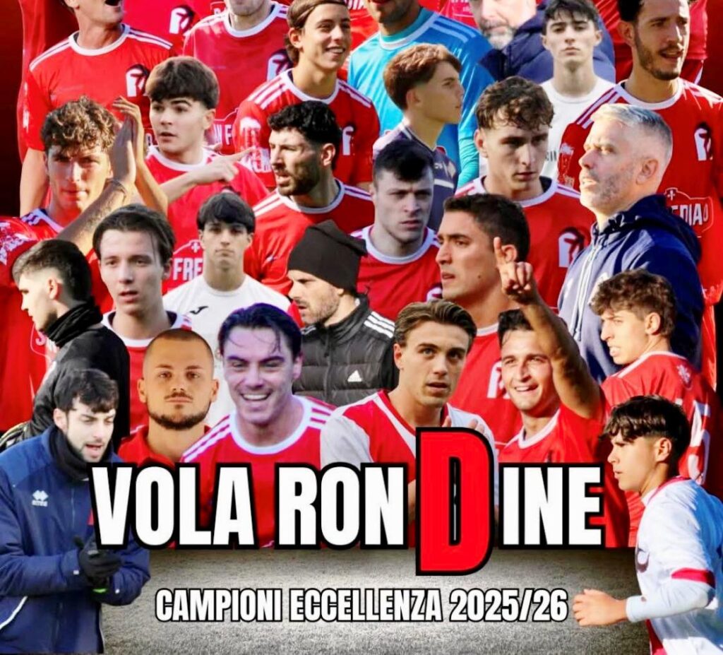 Vola Rondine Small