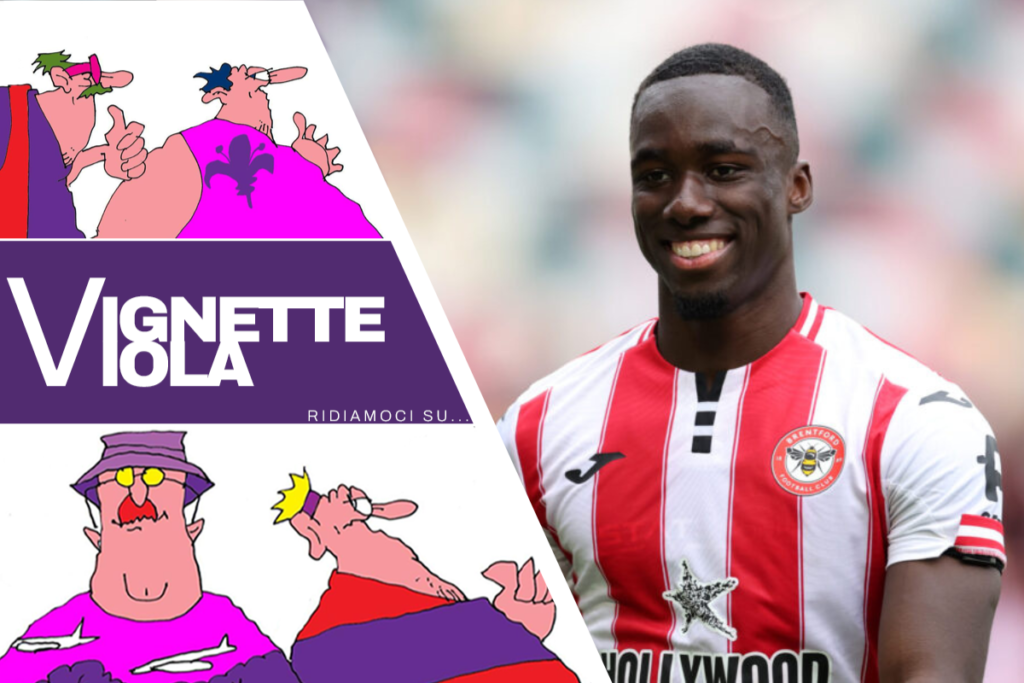 Vignette Viola kayode